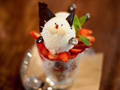 見つめられた瞬間ノックアウト♡にゃんこパフェが話題のブックカフェ「ことばのはおと」