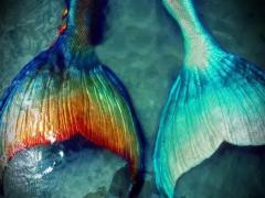 海に行くならマネしたい。マーメイドネイルでカラフルに輝く指先