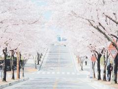 淡いカラーが溢れる指先に♡春にしたい、花柄ネイルカタログ