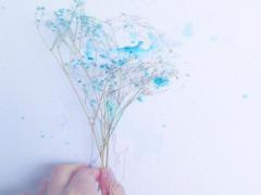 見渡す限りのブルー、そして猫。シェフシャウエンで日常を忘れる