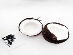 えっまだ知らないの？2016年、次にくる美容フードはココナッツ○○！