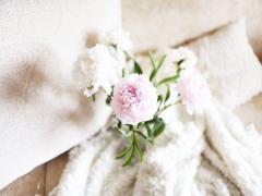 毎日、ちょっとした幸せを。素材にこだわったタオルブランド5選