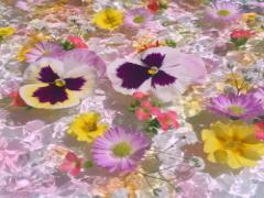 《私を想って♡》の花言葉。純愛パンジーのネイル19選