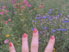 セルフでもお洒落になる〈2016春夏〉シンプルネイルの4大トレンドカラー