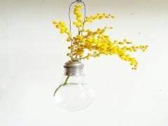 桜だけじゃつまらないから。春待ちネイルはミモザを入れよう