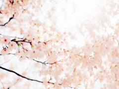 春はスタートの時だから。お守りコスメと一緒に新たな一歩を踏み出そう