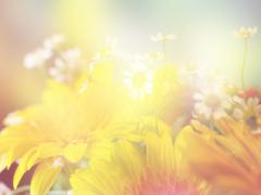 ◯◯は女の武器になる？春からモテ女になるための3つの秘訣♡