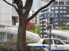 東北随一の街、宮城県で観光にグルメを楽しみませんか♡