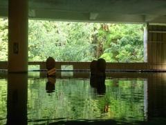 ここだけは押さえて！大自然が広がる伊豆の厳選観光スポット