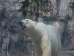 大自然に囲まれた旭川！観光・食で北海道を満喫しよう♪