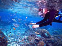 宮古島観光を120％楽しむ！人気のモデルコースと注意点を抑えよう