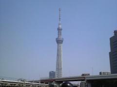 スカイツリー周辺のおすすめスポット！「谷中＆かっぱ橋」をお散歩観光