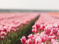 春はもうそこまで来ているの！ワンピースに花束をギュッと閉じ込めて。