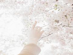 【2016S/S】ゲットしておこ♡春夏服がかわいい予感なブランド5選