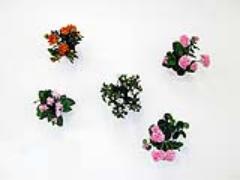 午後7時、デキ女→オンナに変わる。化粧室でさっと変身するレディへのStep