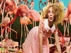 MAC春の新作はピンクづくし♡テーマは”フラミンゴパーク”3/3発売