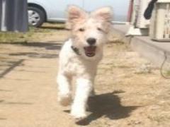 佐賀には観光スポットがたくさん♪大人の旅へ出かけよう