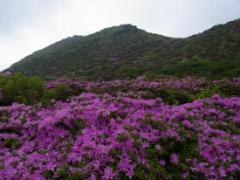 阿蘇へ行くときっと元気になれる♪自然感じる観光スポットを巡って活力アップ！