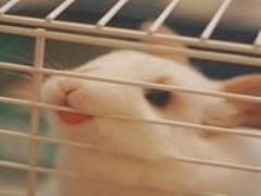 1600円でモチっと毛穴知らず？あの石澤研究所のお米の〇〇シリーズが気になる