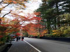 東北屈指の観光地！通年楽しめる角館のおすすめ観光スポット