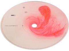 CDをパケ買い、という発想。いつも聞かない音楽を生活に取り入れてみない？