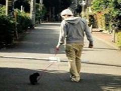 髪カットで新しい自分はじめよう♡レングス別ヘアカタログ