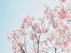 ＼不器用さんに伝授／新生活を迎える前に覚えたい、時短ヘアアレンジ7選♡