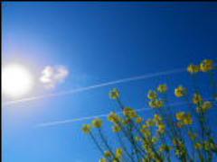 指先に空を染み込ませて。#空ネイルで見つけた春の訪れを感じる指先づくり