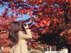 自然の豊かな山形県に出かけよう。おすすめ観光スポット巡り♪