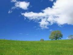 ドラマの舞台にもなった！静岡県三島に1日観光に出かけよう♪