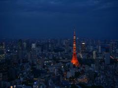 大切な人と楽しみたい♡東京周辺で抑えておくべき観光スポット