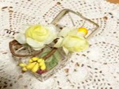 観る、食べる、体験する。【エリア別】魅力だらけの北海道へ