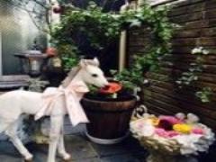 スキンケアだけじゃもったいない！ワセリンの"ツヤっぽメイク術"6つ♡