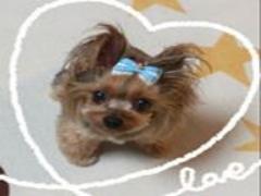 取り入れるだけで春っぽい。パステルカラーを思いっきり楽しむネイル3つ