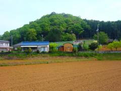 5つの扉があなたを誘う。「カルジーナの森」の迷い込みたい