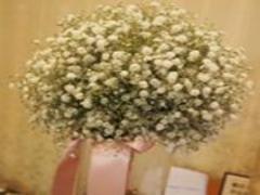 ［ヘアからアクセまで］花言葉は”夢見心地”♡ かすみ草を取り入れて儚げ少女になりたい