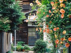 ［種類別］やっぱり好き。誰かに作ってあげたくなる覚えておきたい和食9選