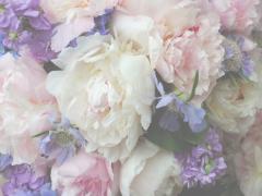 春爛漫。乙女心をくすぐる「パステル×お花」の世界に溶け込みたいの