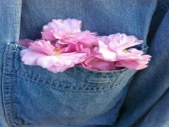 春はブルーのあの子にゾッコンです♡3つのこだわりデニムネイルカタログ