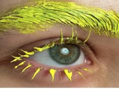 ちょっと探しづらい？春のワタシを作るイエロー系アイメイクアイテム