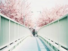 ここが私の“帰りたい”場所。初めての一人暮らし失敗しない部屋選びのポイント10