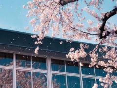 修学旅行の定番、奈良・京都・大阪！外せないフォトスポットはコーヒースタンドにあり