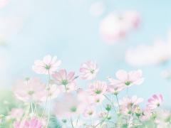 春の陽だまりにかざしたい。天気のいい日のお散歩ネイルカタログ