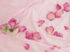 ひらひら、儚く舞い落ちる。指先を優しく包む“花びらネイル”