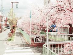 春からひとり暮らし、はじめます。120%私らしさを出す“ルームウェア”は妥協しませんっ！