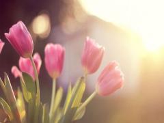 3月に咲く花《チューリップ》恋に落ちるネイルカタログ