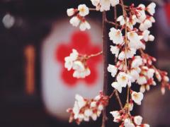 一度は住んでみたい憧れの街。京都で迎える春、妄想新生活物語