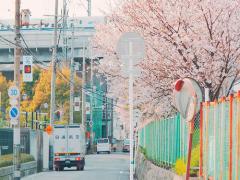 《新生活、挫折前の処方せん》家族や友だちに改めて感謝したくなる映画5本+α