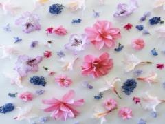 可愛くて有能♡パケ買い→リピ買い間違いナシのコスメ、"Elegance CRUISE"