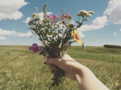 えごまオイルで "美味しく美しく" がカンタンに！始めよう、えごま生活♩